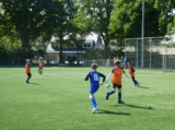 S.K.N.W.K. JO12-1 - S.S.V. '65 JO12-3JM (competitie) 2024-2025 (4e fase) (11/114)